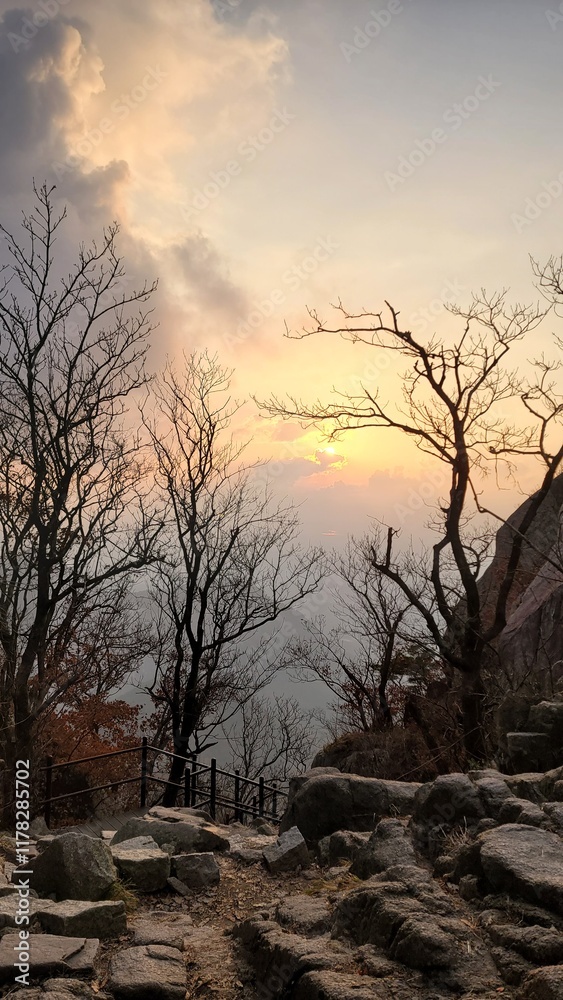 sunset sunset