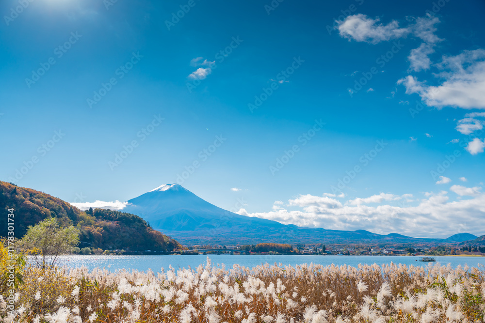 Obraz premium Fuji mountain in Japan Beautiful tourist attractions that show the culture, traditions, visitors can visit every day, Iconic and Symbolic Mountain of Japan. Landscape of Fujisan at Kawaguchiko.