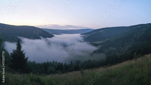 Misty valley at sunrise, scenic view from hilltop.