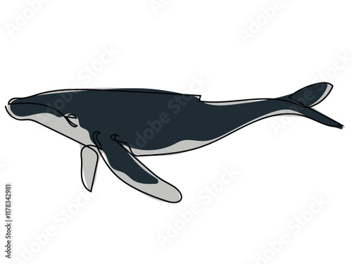 Whales in a continuous line format that can be edited later.