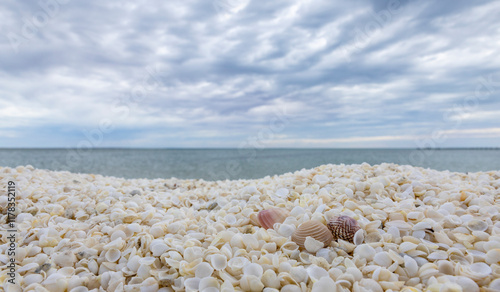 Shell Beach, Denham, Shark Bay, Western Australia, Australia photo