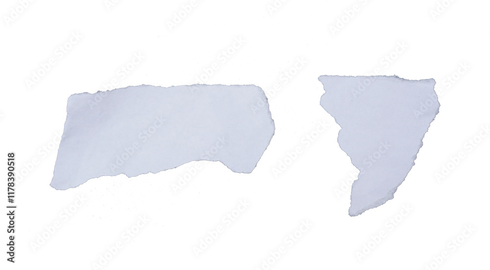 Two pieces of ripped and torn white paper isolated on transparent background