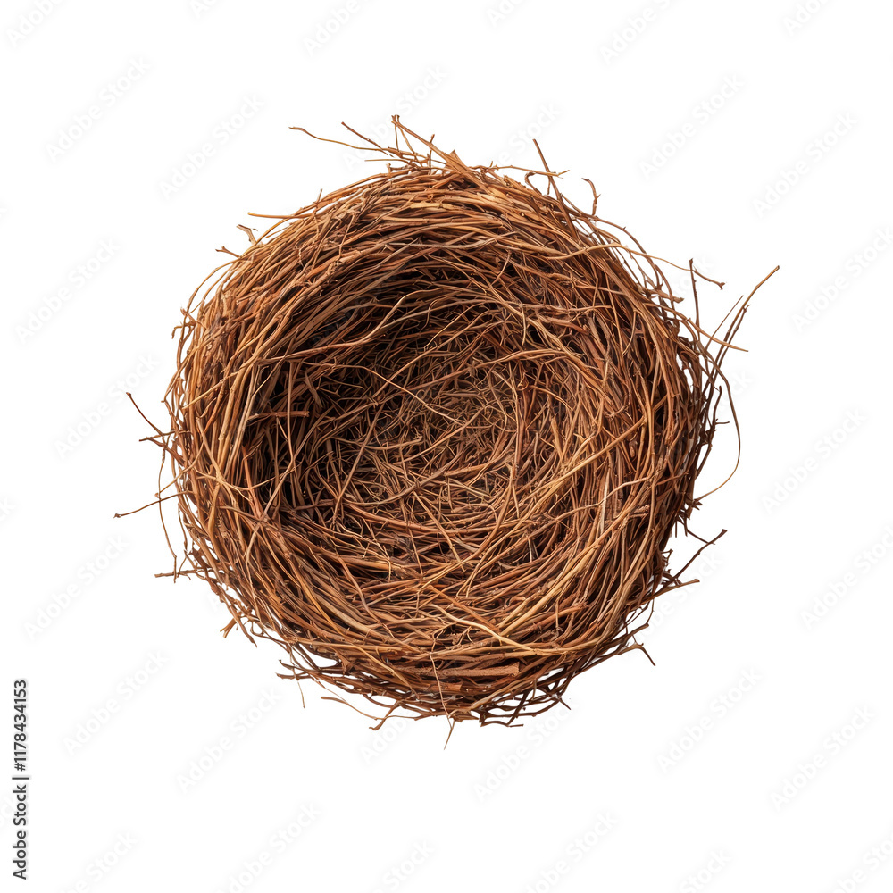 Obraz premium Natural Bird Nest Made of Twigs and Grass