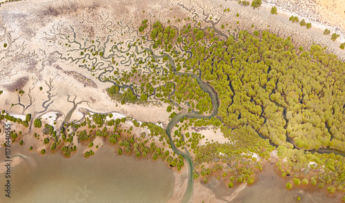 Aerial photography of Shark Bay, Western Australia, Australia