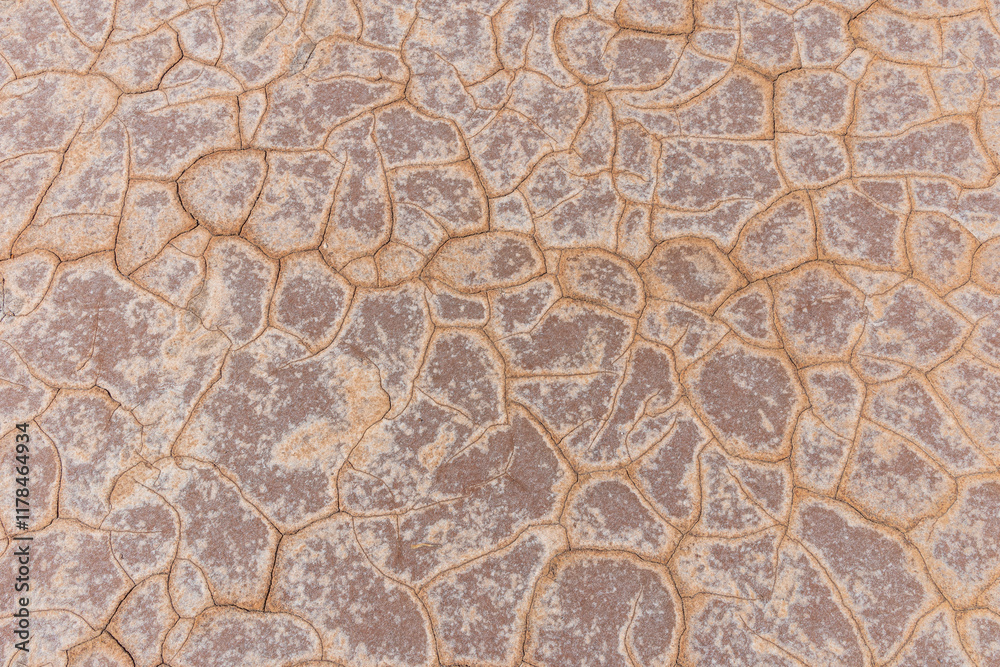 Graphic pattern in dried out Baladjie salt lake in the Wheatbelt of Western Australia Graphic pattern in dried out Baladjie salt lake in the Wheatbelt of Western Australia
