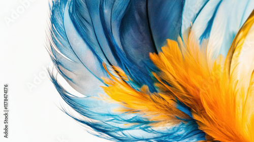 Colorful feather in shades of blue and yellow on white background