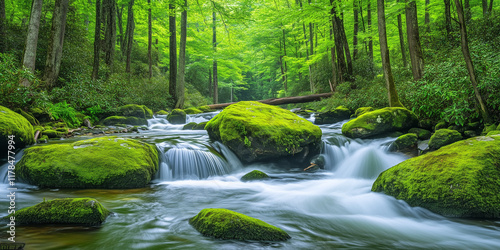 Smoky Mountains Relaxing fluid imagery for