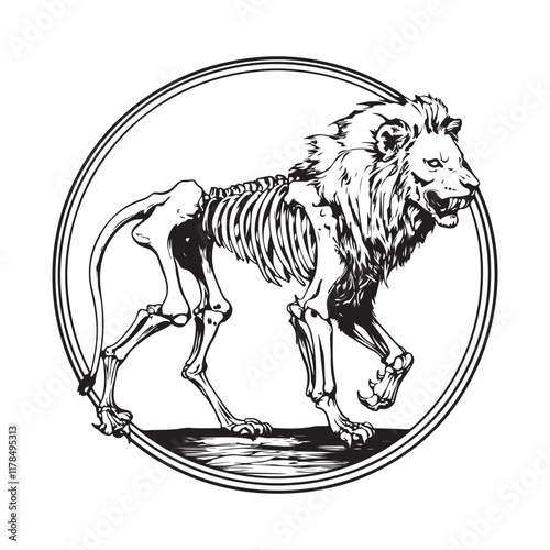 Emaciated lion with visible ribs and skull walking gracefully in a desolate landscape vector illustration.
