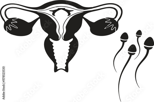 Woman uterus organ with sperms on white background. Gynecology or fertility clinic signboard, clinic and treatment offer poster or banner idea. Medical education vector, EPS 10.