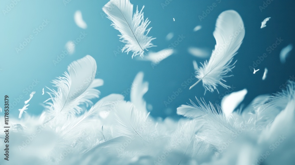 Obraz premium White feathers floating and falling on a teal background.