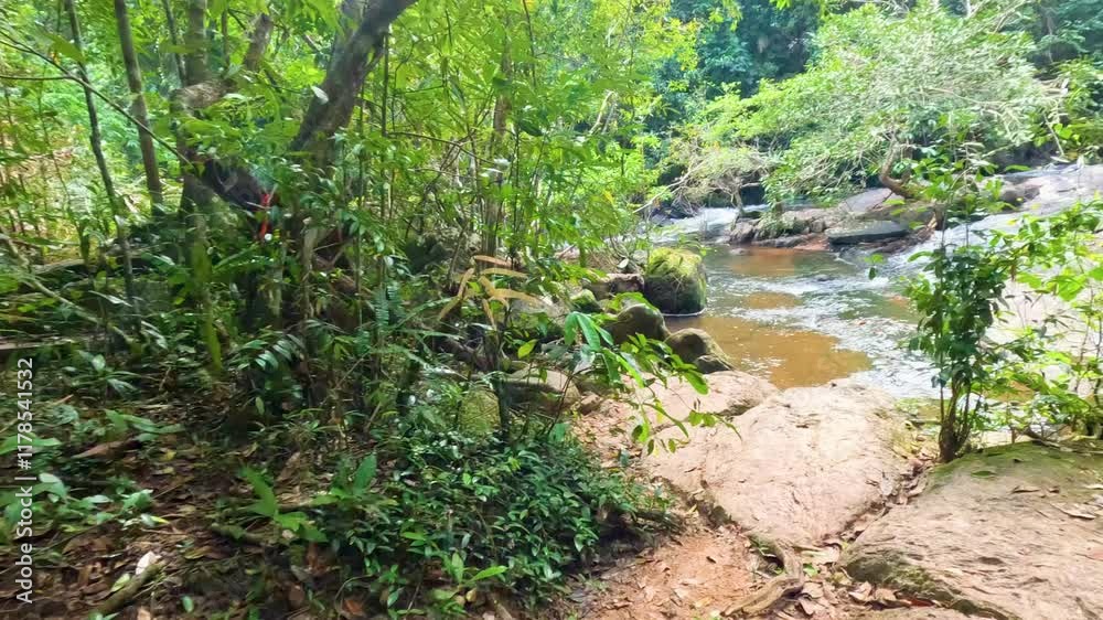 Serene River Flow in Khao Yai