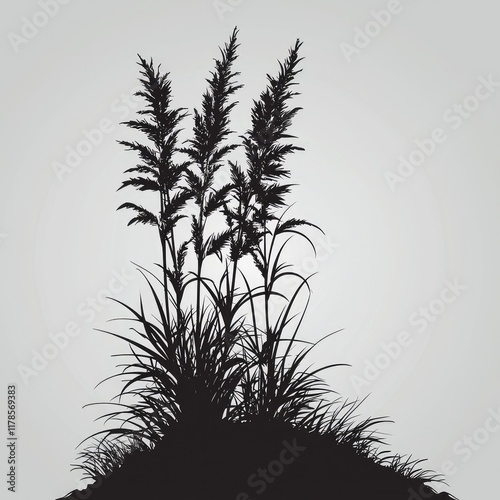 Silhouette of Tall Grass photo