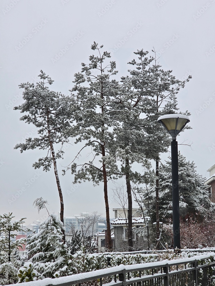 Opae Mountain Park Snowy Landscape Photo Opae Mountain Park Snowy Landscape Photo