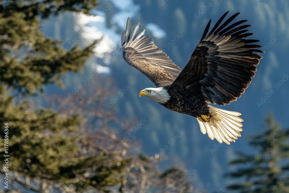 Majestic Bald Eagle Soaring Through Mountains Majestic Bald Eagle Soaring Through Mountains