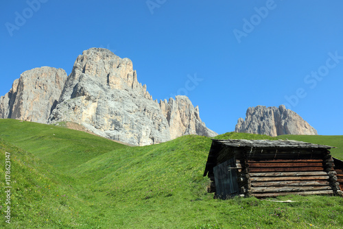 view of the European Alps with the rock faces and the hut called TABIA in ladin dialet language  in the middle of the meadow photo