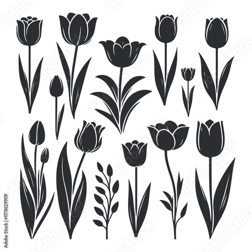 Collection of tulip floral silhouette illustration isolated on white background