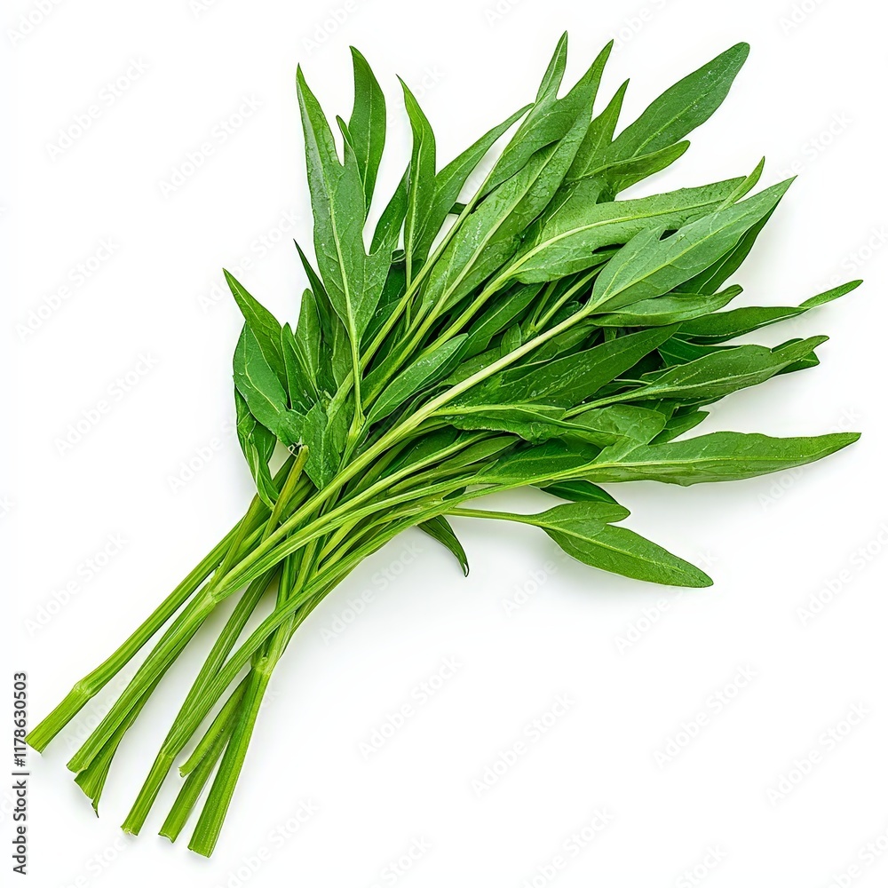 Fototapeta premium Fresh Green Spinach Isolated on White Background