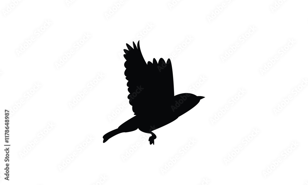 Obraz premium Flying Warbler Bird Silhouette Design And Vector Illustration. 
