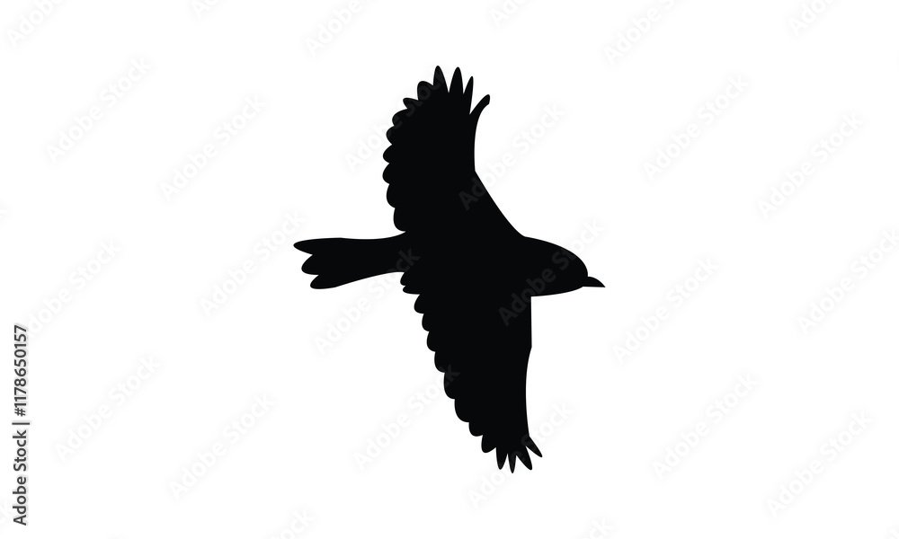 Flying Warbler Bird Silhouette Design And Vector Illustration. Flying Warbler Bird Silhouette Design And Vector Illustration.