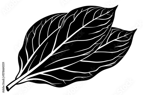 Dry Tobacco Leaves Isolated Vector Art