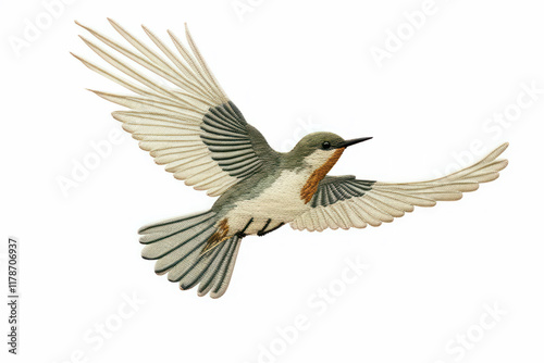 Flying bird animal hummingbird.