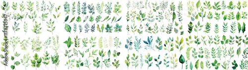 Green watercolor leaves on isolated background	