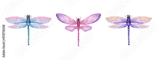 Watercolor Dragonfly Designs Handcrafted Illustration