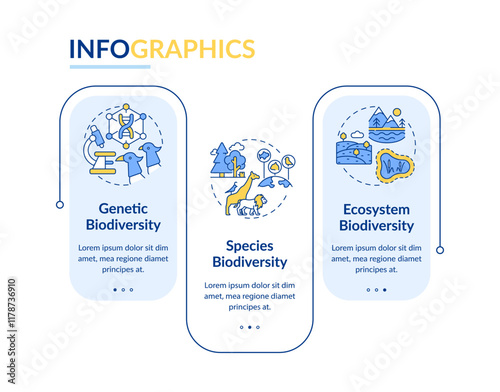 Types of biodiversity rectangle infographic vector. Various ecosystems. Wildlife concepts. Data visualization with 3 steps. Editable rectangular options chart. Lato-Bold, Regular fonts used