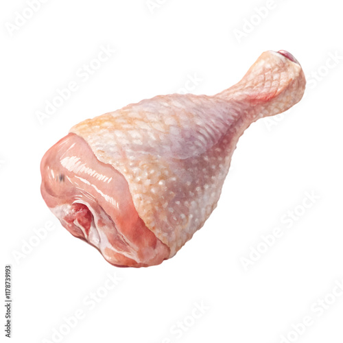 Raw chicken On white background photo