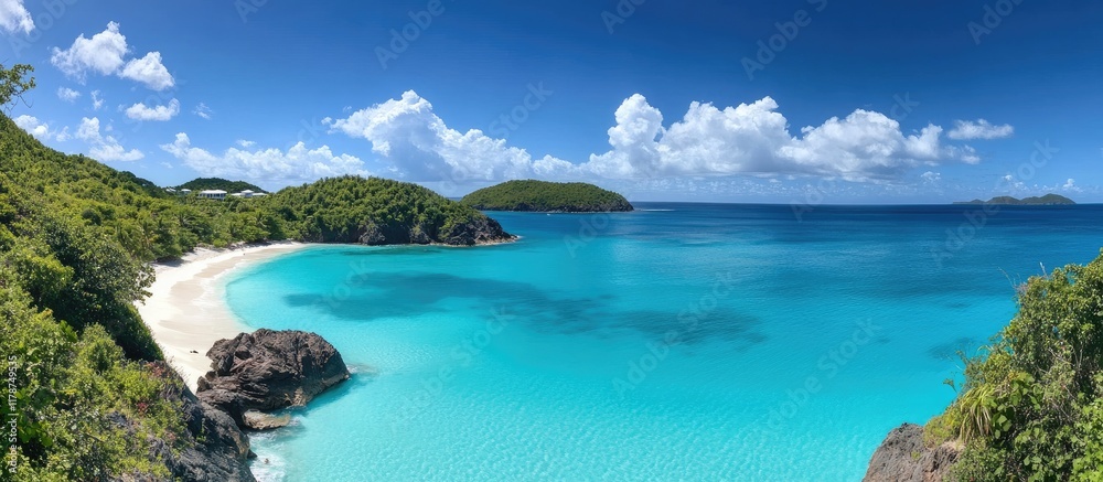 Obraz premium Tranquil Caribbean Beach with Turquoise Waters and Lush Greenery Ideal for Vacations and Relaxation