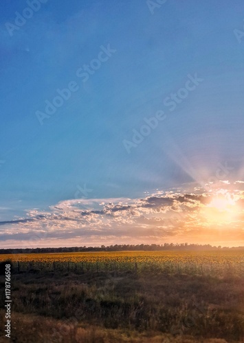 Amanecer único
