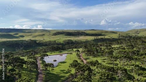 Paisagem Verde