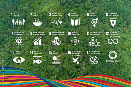 Globe Representing Sustainable Development Goals SDG on a Forest Background