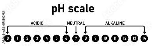 pH scale chart indicator diagram value acidic, neutral and alkaline solution.   Monitor pH for Alkaline neutral and Acid levels. Chart for the Acidic Neutral and Alkaline pH of various liquids.