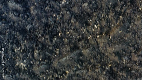 top view from a drone on the land ,cultivated fields without yield