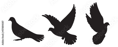  flying dove silhouette vector, Birds icon set, animal vector, Pigeon silhouette | vector silhouette illustration on white background, dove logo vector icon illustration, logo template photo