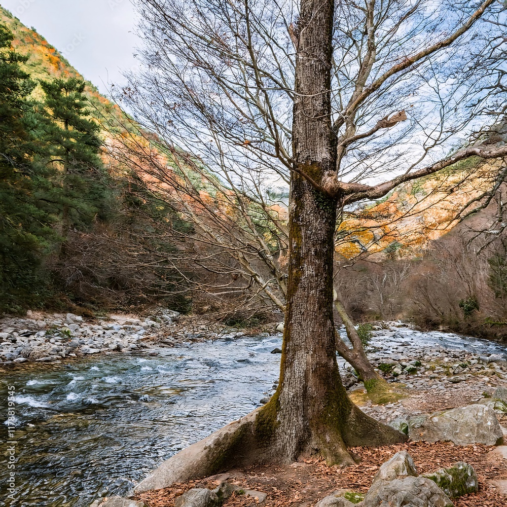 A bare tree stands prominently in front of a gently flowing stream in a serene forest setting A bare tree stands prominently in front of a gently flowing stream in a serene forest setting