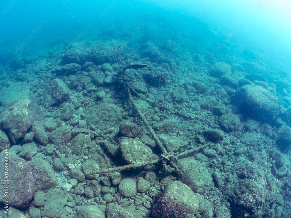 Fototapeta premium 水底に残された古い時代の錨。 静岡県伊豆半島賀茂郡南伊豆町中木ヒリゾ浜2024年 