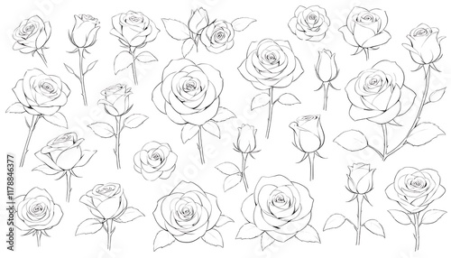 Fototapeta Naklejka Na Ścianę i Meble -  Elegant Black and White Rose Line Art Collection. A beautiful collection of detailed line art rose illustrations perfect for use in various design projects