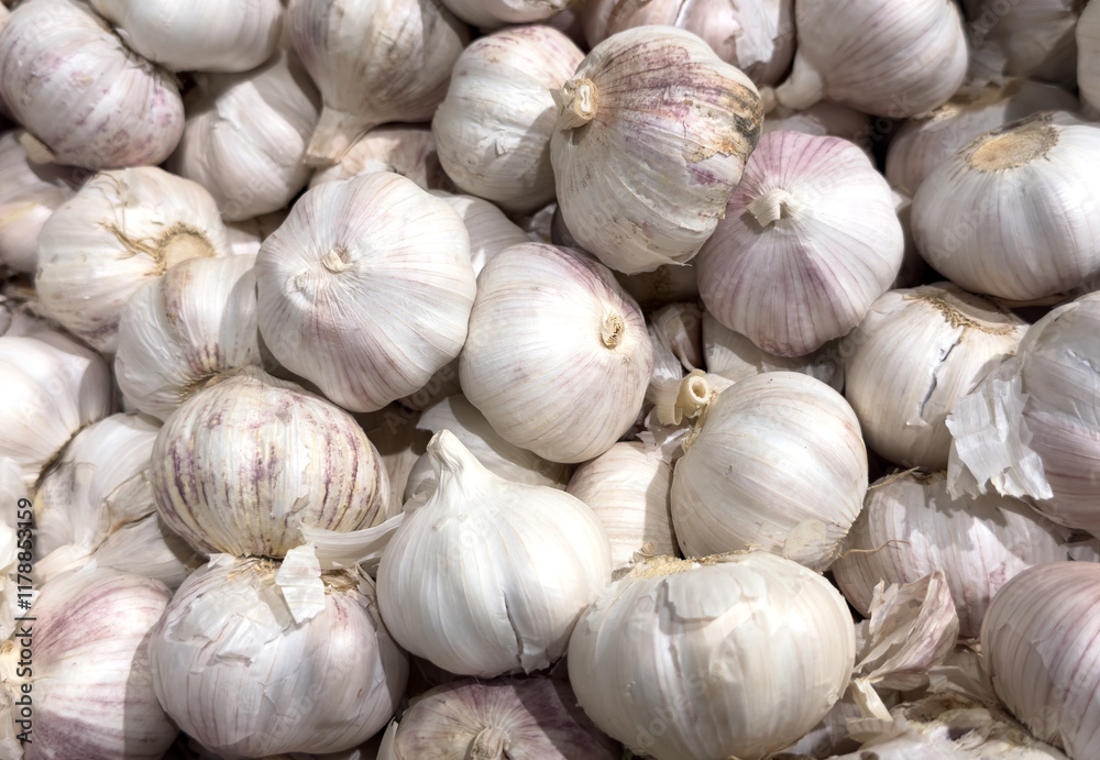 A pile of white garlic bulbs A pile of white garlic bulbs