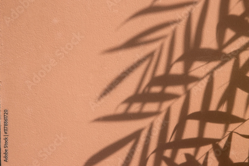 Palm leaves shadow on peach color cement plaster wall texture tropical summer background