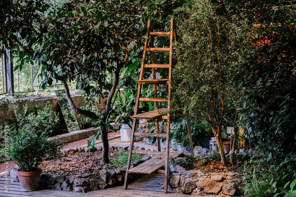 A wooden ladder positioned amidst lush greenery in a serene garden setting during the afternoon A wooden ladder positioned amidst lush greenery in a serene garden setting during the afternoon