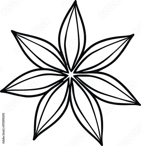 Anise star spice line art vector herb