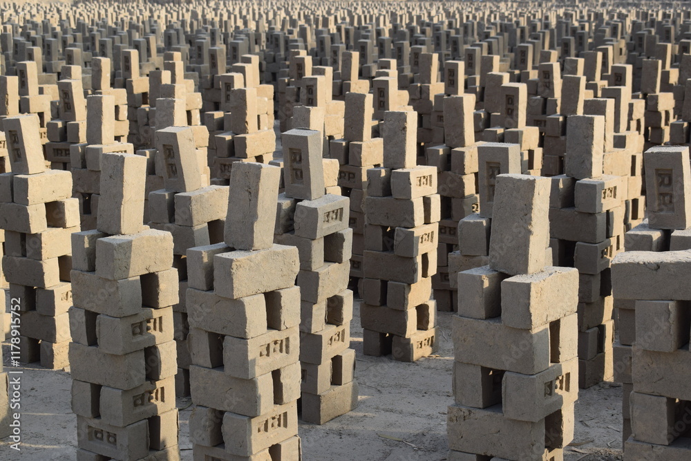 Fototapeta premium manufacturing mud bricks from clay dated 05-01-2025 Bricks are arranged to dry up in the sunlight at the brick production land. Punjab, Adobe bricks made of mud in Peruvian Andes. Material for house