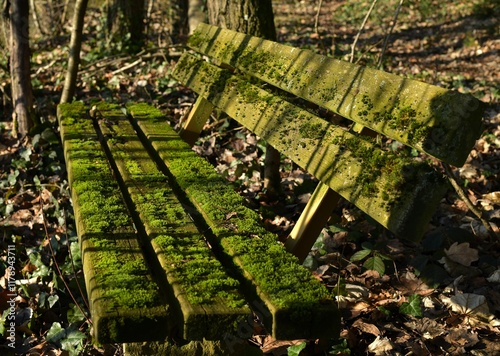 Weiche Sitzgelegenheit