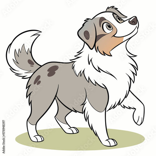 Miniature American Shepherd Dog Vector