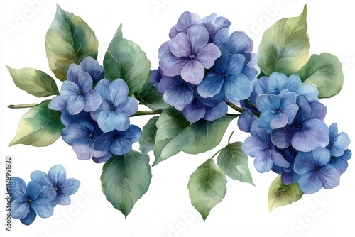 A watercolor illustration of blue and purple flowers with green leaves.