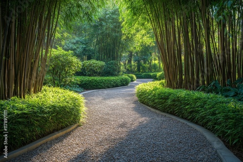 Bamboo pathway surrounded by tall green stalks and sunlight filtering through photo