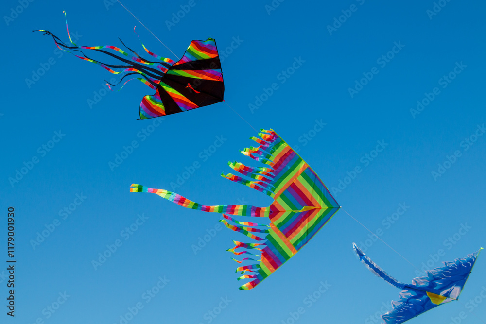 colorful kites fly pushed by the wind in a clear sky colorful kites fly pushed by the wind in a clear sky