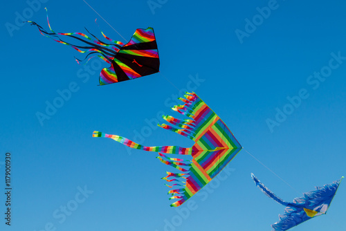 colorful kites fly pushed by the wind in a clear sky